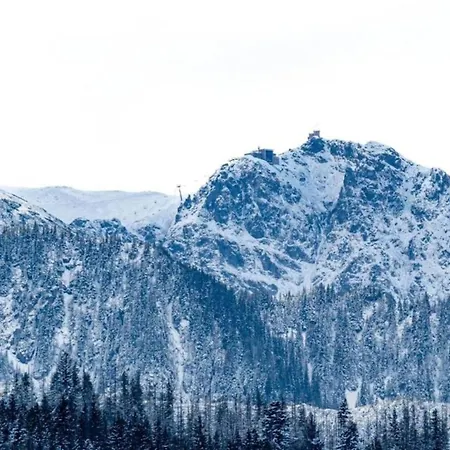 아파트 Golden - Family Mountain For 6 - Taternik